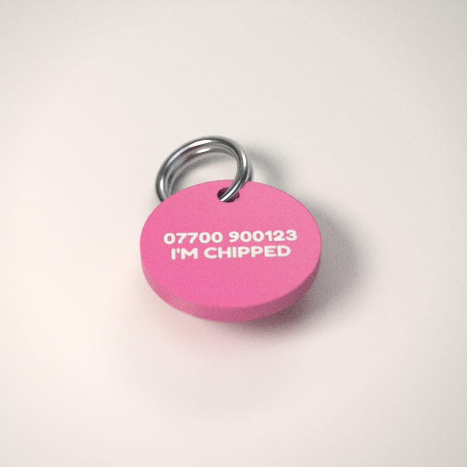 Back of the cat tag, with the owner's details printed flush into the surface
