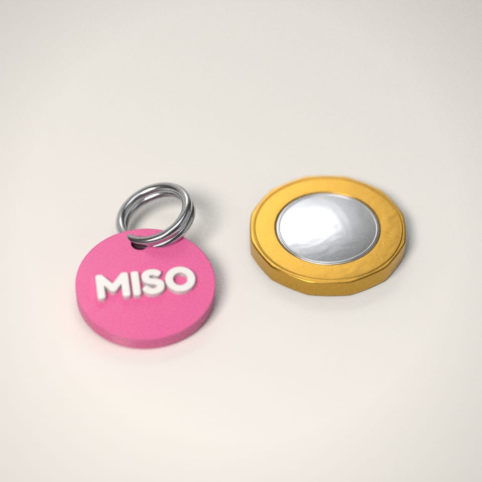Personalised Cat ID Tag next to a £1-coin-sized disc for scale