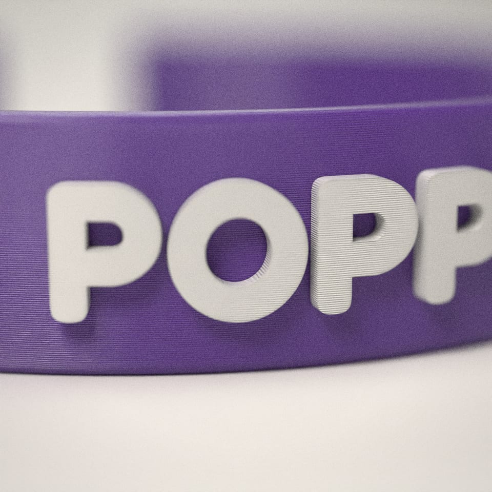 Close-up of the 'POPPY' lettering, showing the fine 0.2 mm print layers