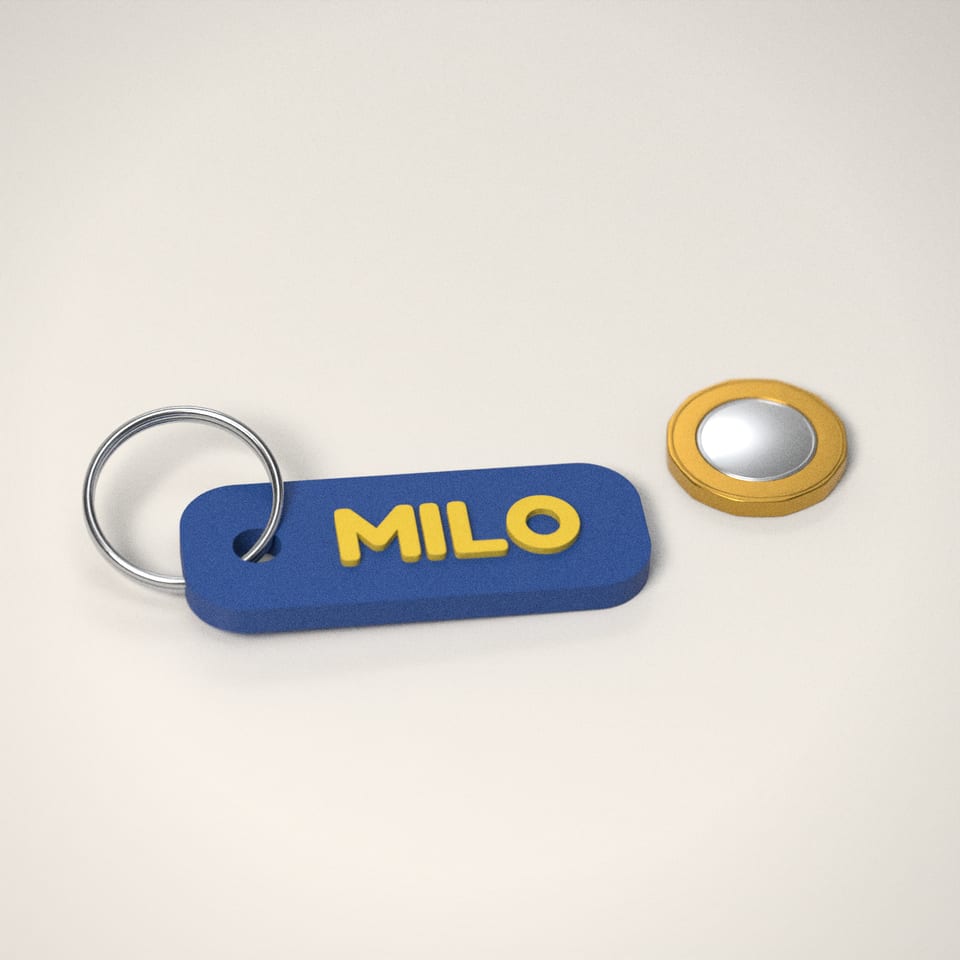 Personalised Name Keyring next to a £1-coin-sized disc for scale