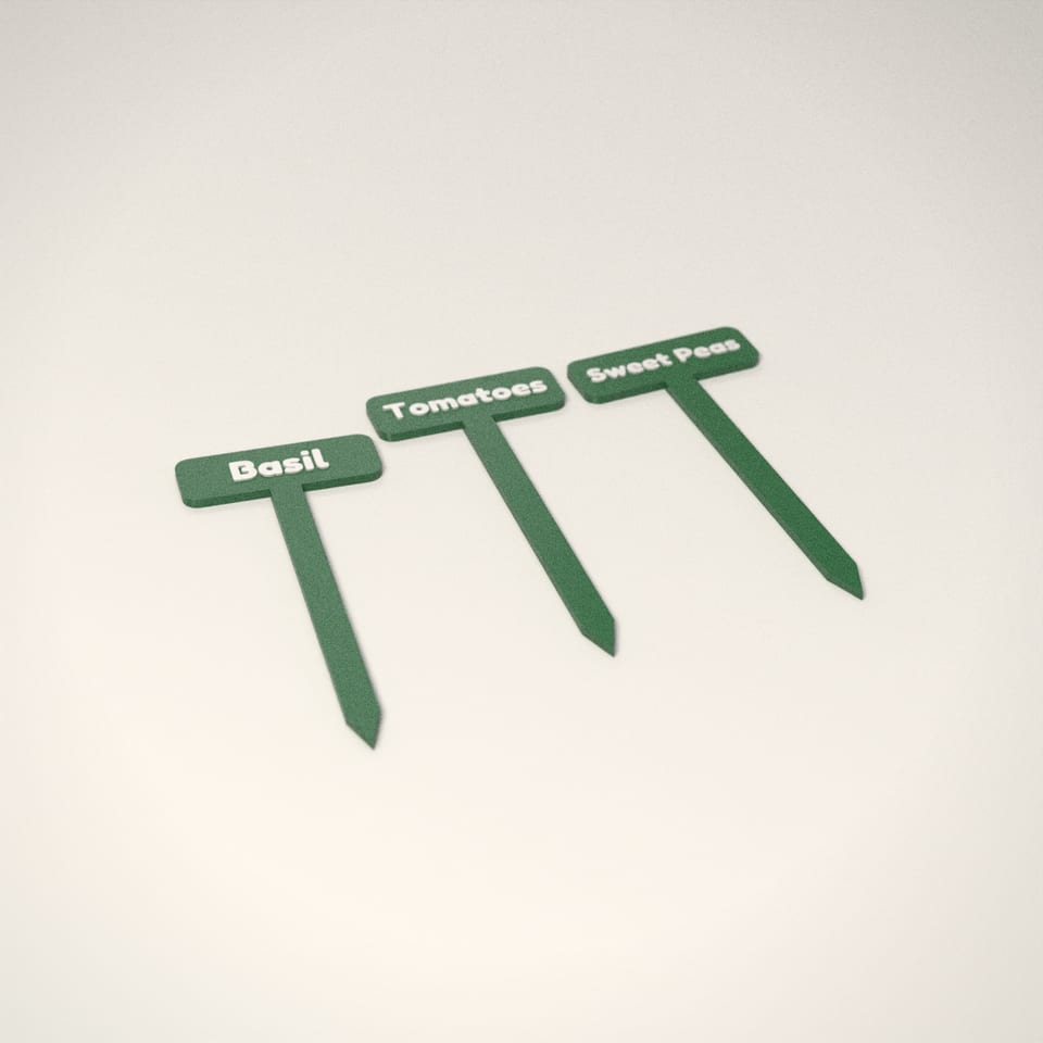 Racing Green personalised Plant Labels reading 'Basil' in Snow White letters