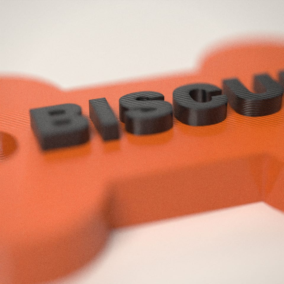 Close-up of the 'BISCUIT' lettering, showing the fine 0.2 mm print layers