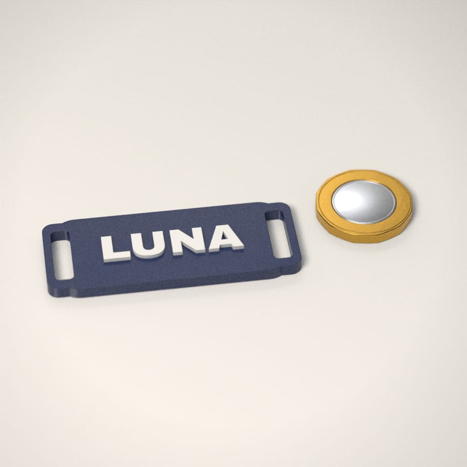 Slide-On Collar Name Tag next to a £1-coin-sized disc for scale