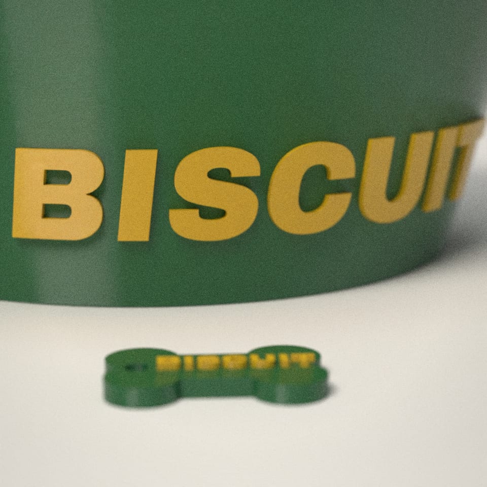 Close-up of the 'BISCUIT' lettering, showing the fine 0.2 mm print layers